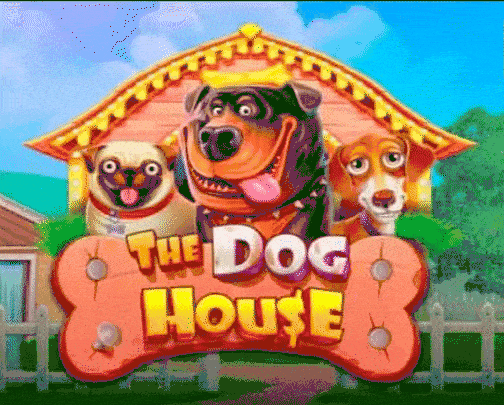 The Dog House bij Zombillion